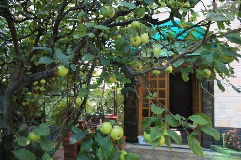 Ландышевая улица, 10