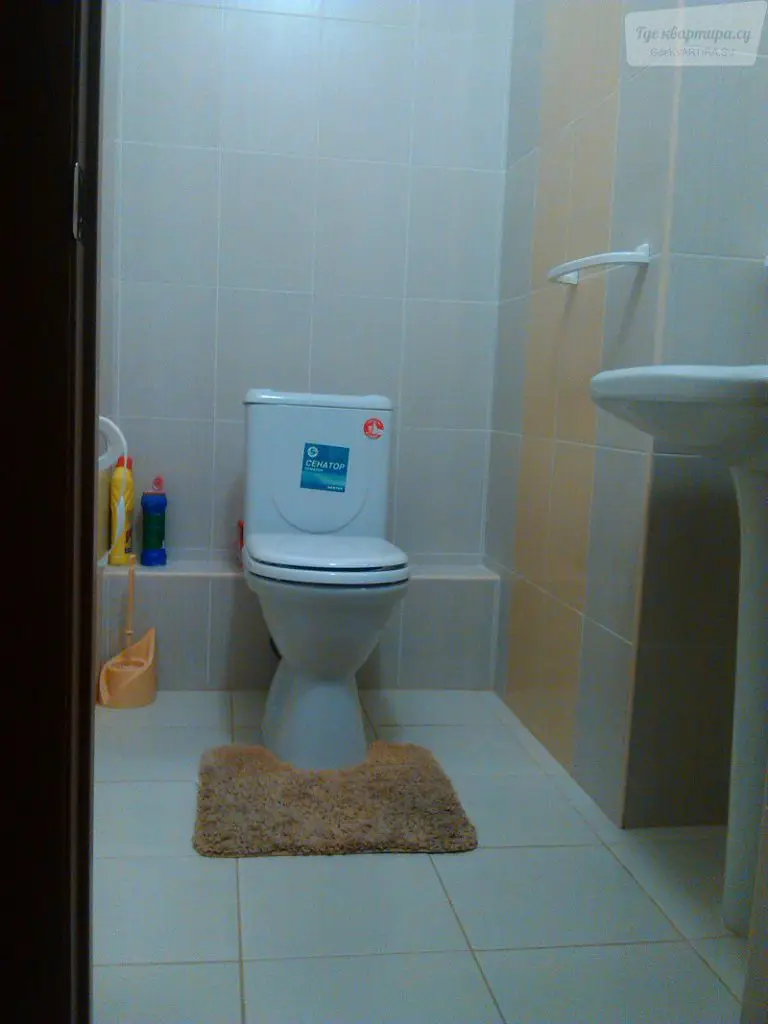 Университетская улица, 11